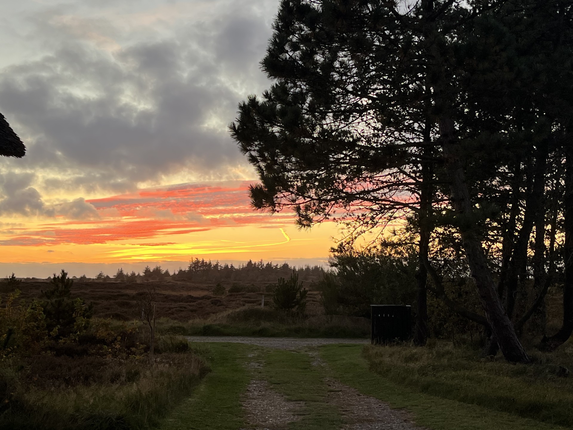 Hvornår har du sidst set på stjerner?